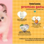 Alimentos caseros seguros y saludables para gatos como mascotas.