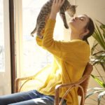 Alternativas seguras de antiinflamatorios para gatos domésticos