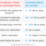 Calcular la cantidad de comida para un gato de 25 kg