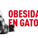 Cómo ayudar a mi gato a perder peso de manera saludable.