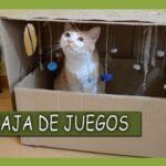 Cómo fabricar una cajita de cartón para tu gato