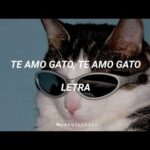 ¿Cómo Te Dice Te Amo Un Gato?