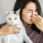 Consejos para reducir la alergia que causa tu gato