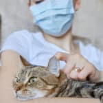 Convivir con Gatos a pesar de ser alérgico: Consejos útiles.