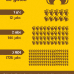 ¿Cuándo Hay Que Castrar A Los Gatos?