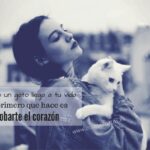 ¿Cuando Un Gato Llega A Tu Vida Sin Buscarlo?