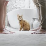 Cuando un gato te sigue: ¿Qué significa y por qué lo hace?