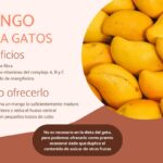 El mango en la dieta felina: ¿es seguro para mi gato?