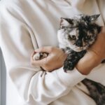 Enfermedades comunes que pueden afectar a los gatos domésticos.