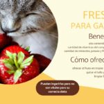 Fresas y gatos: ¿Es seguro alimentar a tu felino con esta fruta?