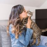La percepción de los gatos sobre los besos humanos