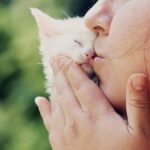 ¿Los gatos disfrutan de los besos humanos?