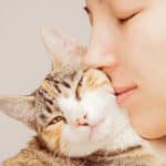 Los gatos y su conexión con lo espiritual: ¿Qué sabemos?