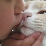 Los riesgos de darle besos en la boca a tu gato.