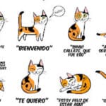 Los signos que indican la felicidad en los gatos como mascotas.