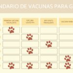 Número de vacunas necesarias para la salud de tu gato.