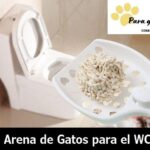 Por Qué Tirar Arena para Gato por el WC