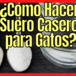 Preparación casera de suero para gatos enfermos o deshidratados.