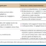 Preparación de amoxicilina para gatos: Guía práctica.