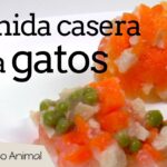 ¿Qué Comida Casera Se Le Da A Un Gato?