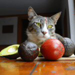 ¿Qué Fruta Le Gusta A Los Gatos?