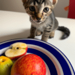 ¿Qué Fruta Puede Comer Un Gato De 2 Meses?