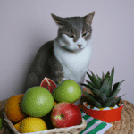 ¿Qué Frutas Son Tóxicas Para Los Gatos?