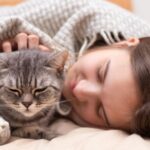 ¿Qué Pasa Si Duermo Con Mi Gato Que Tiene Pulgas?