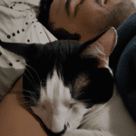 ¿Qué Pasa Si Duermo Con Un Gato Con Parásitos?
