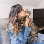 ¿Qué Siente Un Gato Cuando Lo Besas?