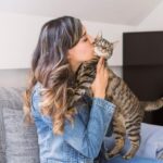 ¿Qué Significa Cuando Un Gato Te Da Un Beso?