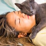 ¿Qué Tan Bueno Es Dormir Con Gatos?