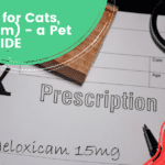 Usos del meloxicam en el cuidado de gatos.