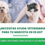 Vacunación gratuita para gatos: ¿dónde encontrarla?